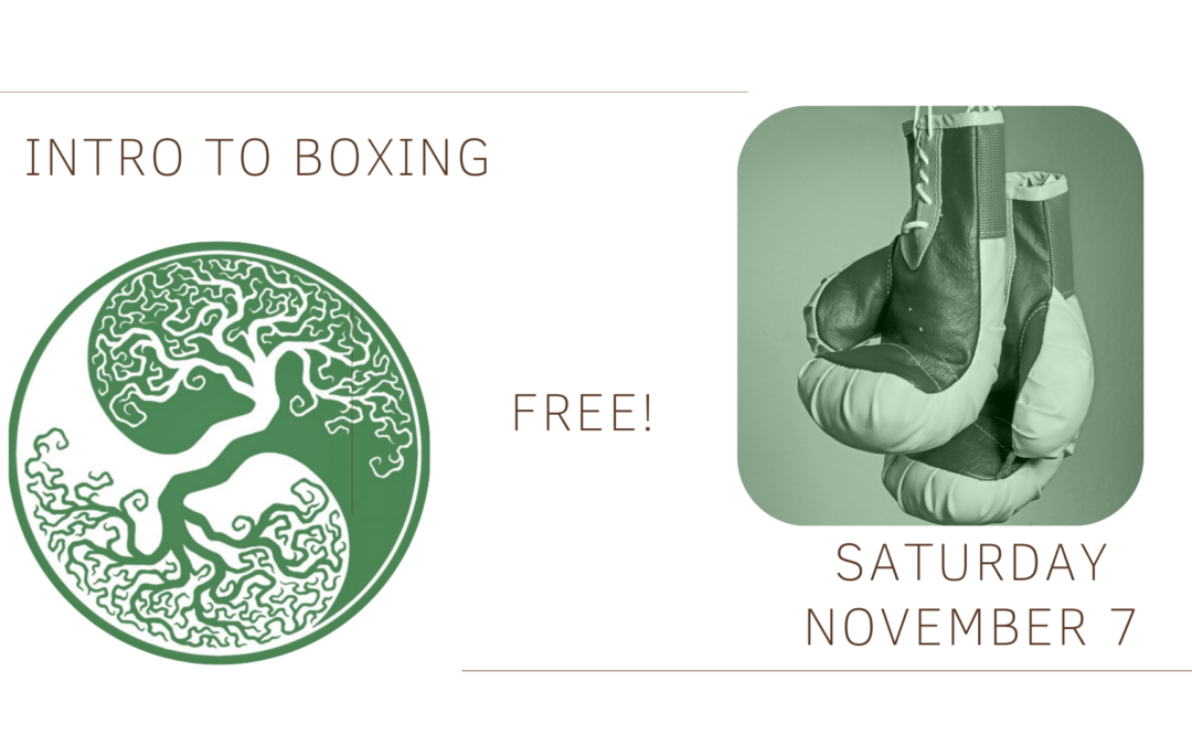 Intro To Boxing Free Event!